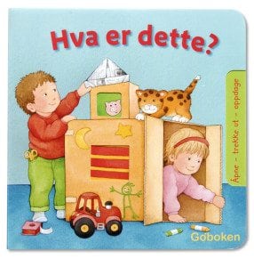 Hva er dette?