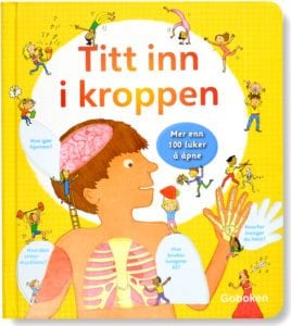 Titt inn i kroppen